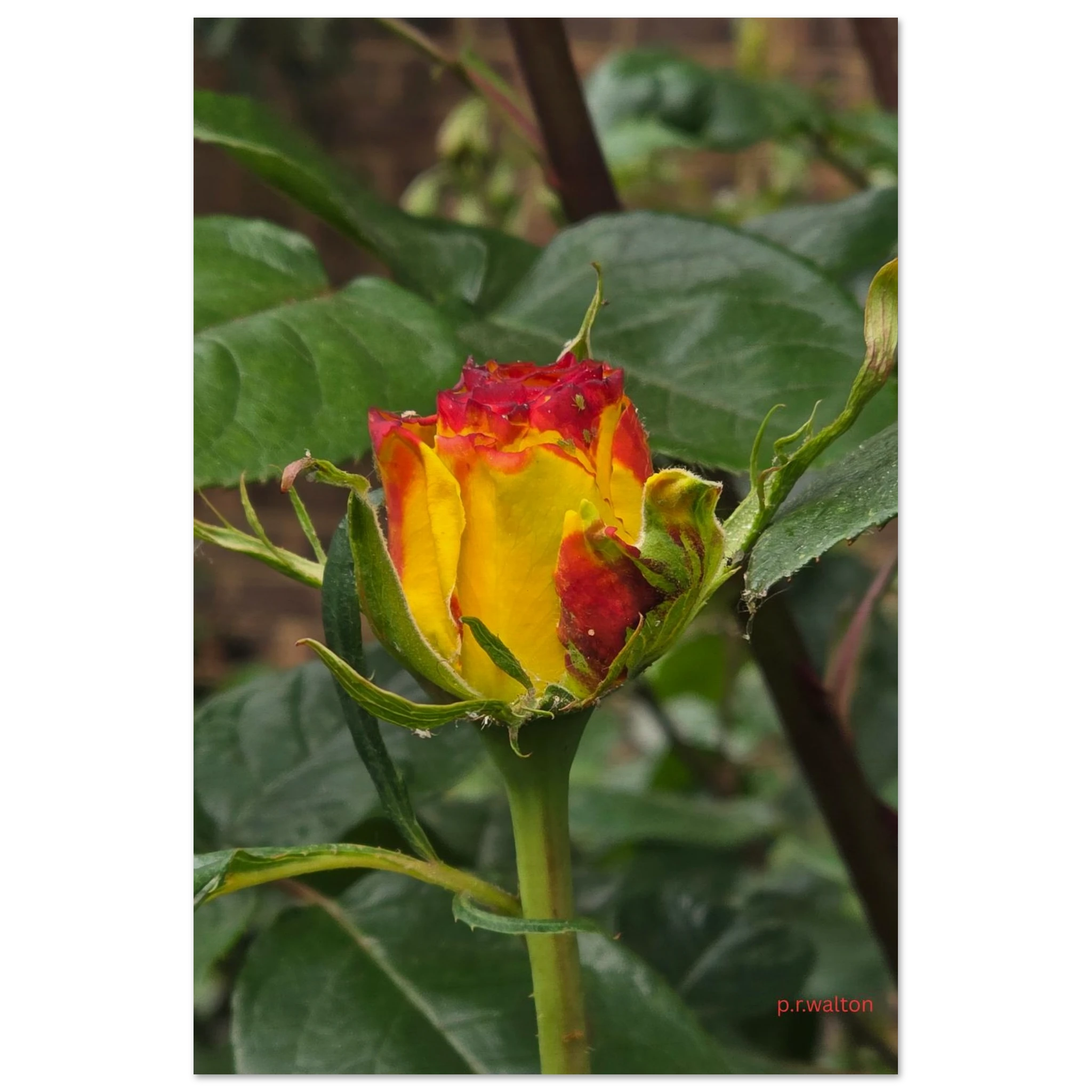 9d74ddff-48d5-46da-b90e-6a679c833e7b